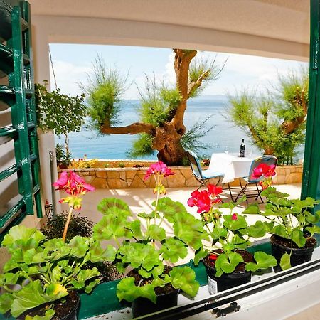 Studio Apartman Papić Drasnice Bagian luar foto